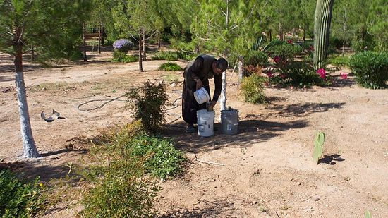 На послушании